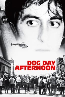 Dog Day Afternoon ปล้นกลางแดด (1975) - ดูหนังออนไลน