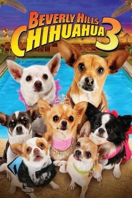 Beverly Hills Chihuahua 3: Viva La Fiesta! คุณหมาไฮโซ โกบ้านนอก 3 (2012) - ดูหนังออนไลน