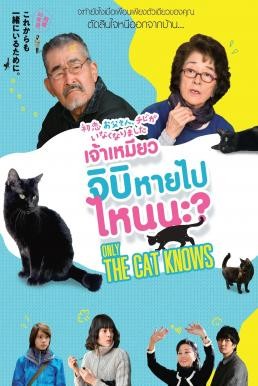 Only The Cat Knows เจ้าเหมียวจิบิ หายไปไหนนะ? (2019) - ดูหนังออนไลน