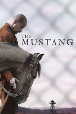 The Mustang (2019) - ดูหนังออนไลน