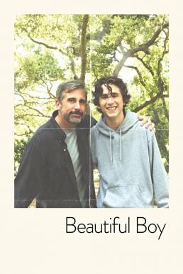 Beautiful Boy แด่ลูกชายสุดที่รัก (2018)