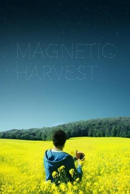 Magnetic Harvest (2019) บรรยายไทย
