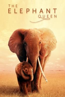 The Elephant Queen (2019) บรรยายไทย