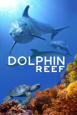 Dolphin Reef (2020) Disney+ บรรยายไทย - ดูหนังออนไลน