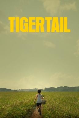 Tigertail รอยรักแห่งวันวาน (2020) NETFLIX บรรยายไทย