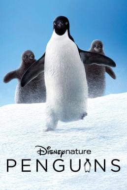 Penguins (2019) HDTV - ดูหนังออนไลน