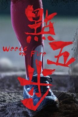 Weeds on Fire (Dian wu bu) รวมใจสู้เพื่อฝัน (2016) - ดูหนังออนไลน