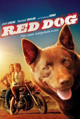 Red Dog เพื่อนซี้ หัวใจหยุดโลก (2011) - ดูหนังออนไลน