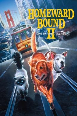 Homeward Bound II: Lost in San Francisco (1996) - ดูหนังออนไลน