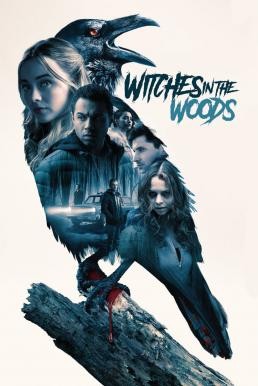 Witches in the Woods (2019) HDTV - ดูหนังออนไลน