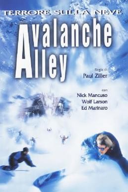 Avalanche Alley มหันตภัยสุดขอบโลก (2001) - ดูหนังออนไลน