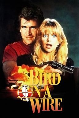 Bird on a Wire ดับอำมหิต (1990) - ดูหนังออนไลน