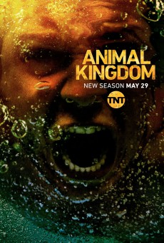 Animal Kingdom Season 3 - ดูหนังออนไลน