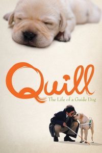 Quill – The Life of a Guide Dog (2004) โฮ่ง (ฮับ) เจ้าตัวเนี้ยซี้ 100%