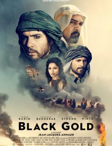 Black Gold (2011) แบล็ค โกลด์ ล่าขุมทองดับตะวัน - ดูหนังออนไลน